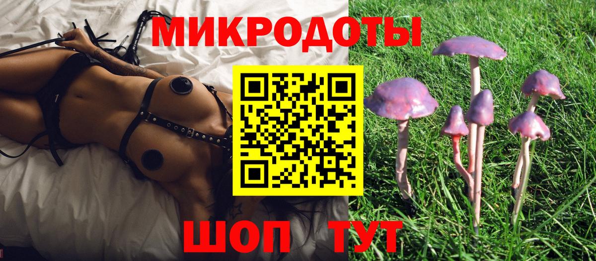 Амурск  Псилоцибиновые грибы MAGIC MUSHROOMS  Вход с VPN 