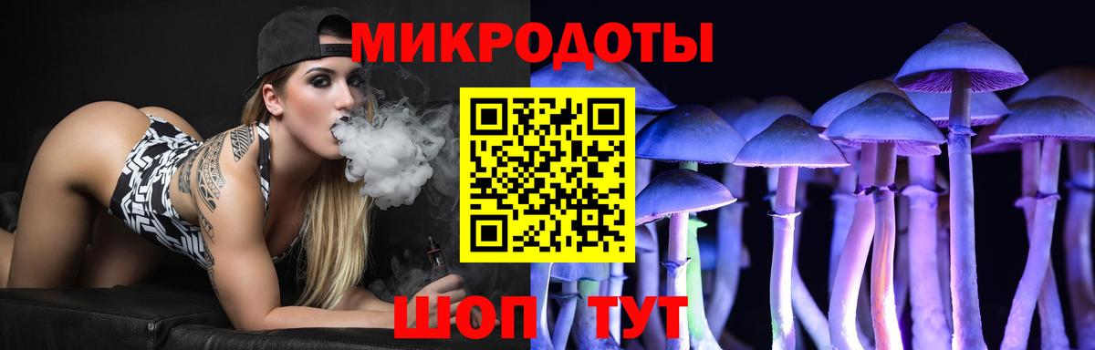 Псилоцибиновые грибы мицелий Амурск
